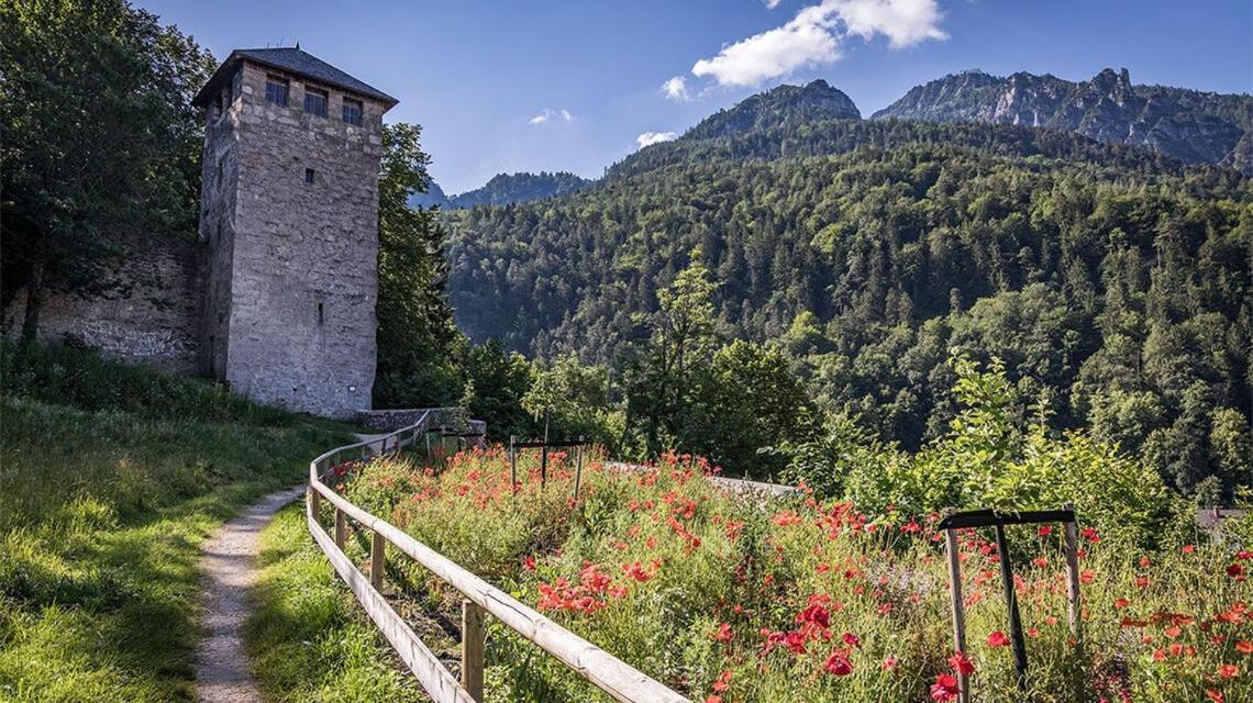 Ferienwohnungen Brigitte In Der Altstadt Bad Reichenhall Ngoại thất bức ảnh